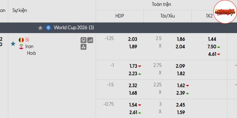 Bảng tỷ lệ kèo Bỉ vs Iran